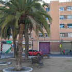 El proyecto prevé la plantación de seis palmeras para ofrecer más sombra a los usuarios.