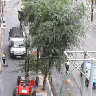 Imatge de l'actuació de la Brigada Municipal.