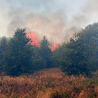 Imagen de las llamas del incendio.