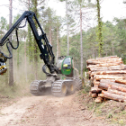 La màquina taladora avançant per una pista del bosc de Refalgarí, al parc natural dels Ports.