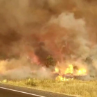 Imatge de les flames de l'incendi de Ribera d'Ebre.