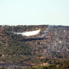 Un hidroavió descarrega aigua a la zona de l'incendi, entre els termes municipals de Bovera i Flix, el 28 de juny del 2019