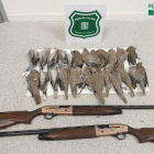 Agents Rurals decomisaron las dos armas utilizadas y las tórtolas cazadas.