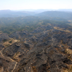 Gran pla geneal de la zona afectada per l'incendi de la Ribera d'Ebre. Imatge publicada el 28 de juny del 2019