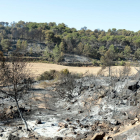 Pla obert de la zona afectada per l'incendi al terme municipal de Maials, el 28 de juny del 2019