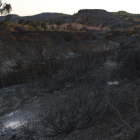Pla general d'una de les zones cremades per l'incendi entre els termes municipals de Flix i Bovera. Imatge del 29 de juny del 20019 (Horitzontal).