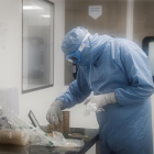 Varios laboratorios y universidades trabajan para producir una vacuna para poner fin a la actual pandemia.