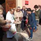 La tradicional bendición de los animales se llevó a cabo en la iglesia de Sant Llorenç.