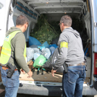 Los Mossos cargan la marihuana decomisada en Alfarràs.