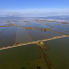 Plano aéreo de arrozales inundados con agua del mar en la zona de la Marquesa, en el Delta del Ebro.