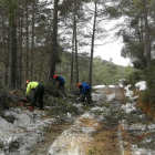 Más de una decena de efectivos trabajan para liberar los accesos, afectados por caída de árboles y desprendimientos.