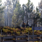 Zona afectada por el incendio forestal en Caldes de Malavella.