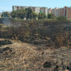 Imagen de la zona quemada.