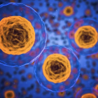 Los nanomotores son capaces de moverse en un fluido, utilizando varias biomoléculas como combustible.