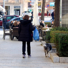 Una dona passejant un gos pel centre de Girona