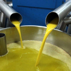 Aceite de oliva virgen extra del rayo|chorro en la Cooperativa de Maials.