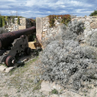 Les herbes envolten els canons localitzats en diferents espais del Passeig Arqueològic.