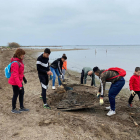 Voluntarios recogiendo basura|maleza después de la llevantada en la costa de la bahía de los Alfaques.