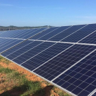 Se quiere instalar una planta solar en unos terrenos agrarios en l'Arboç.