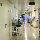 Professionals sanitaris en un dels passadissos d'Unitats de Cures Intensives (UCI) que atenen pacients amb covid-19 a l'Hospital de Bellvitge