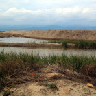 Plano general de los arrozales todavía inundados, detrás de la barrera de arena que se ha construido en la playa de la Marquesa, en Deltebre, después del temporal Gloria.