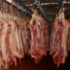 Plano general de canales de cerdo esperando para ser procesadas en un matadero.