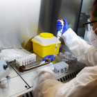 Un professional d'un laboratori processant mostres de PCR.
