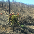 Treballs forestals realitzats a les zones afectades per l'incendi de la Ribera d'Ebre.