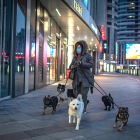 Una mujer con mascarilla paseando perros en la ciudad de Beijing, en China.