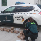 Una agent de la Guàrdia Civil amb el tabac intervingut al Montsià.