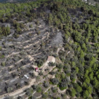 Zona forestal afectada por el incendio en el Coll Redó de Tortosa.
