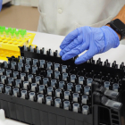 Diverses mostres PCR preparades per a ser processades.
