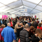 Imatge de la mostra de vins de la Festa del Vi de Gandesa l'any 2018.