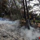 Efectius dels Bombers intervenen en l'incendi del passat dissabte al Bosc de la Marquesa.