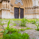 Imatge de les herbes que han sortit aquests dies de confinament al pla de la Seu, davant la catedral.