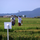 Plano general de dos participantes a la Jornada de campo de cultivo del arroz en los campos del IRTA.