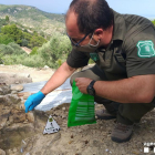 Un agente rural recogiendo muestras de los cebos envenenados localizados en una casa en el espacio natural de la sierra del Cardó-Boix.