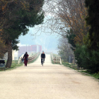 Imatge d'arxiu de la Via Verda entre Tortosa i Roquetes amb un ciclista i una vianant fent-ne ús.