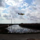 Una avioneta que fa els tractaments contra el mosquit al Delta fumigant sobre una arrossar.