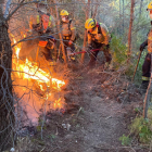 Alguns Bombers treballant en l'extinció de l'incendi forestal de Tivissa.