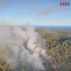 Imagen aérea del incendio de vegetación.