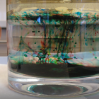 L'experiment 'pluja de colors', sobre la densitat dels líquids.