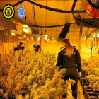 Una agent de la policia local de Tortosa a la plantació de marihuana localitzada en naus del polígon Catalunya Sud de Tortosa