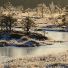 Un pantà en Riisa, al Parc Nacional de Soomaa, a Estònia
