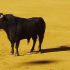 Imagen de archivo de un toro.
