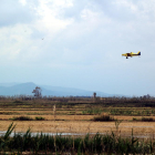 Una avioneta que fa les fumigacions contra el mosquit al Delta de l'Ebre.