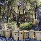 Las cajas de madera se han colocado en el bosque situado en la parte de encima de la pedrera de la Cap Salou.