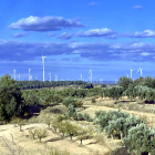 Plana alta de la Terra Alta coberta d'aerogeneradors darrere de camps d'oliveres i ametllers de la zona dels Pesells d'Horta de Sant Joan.