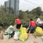 Imagen de los voluntarios trabajando en la recogida de basura.