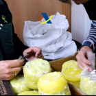 Cae una organización que introducía cocaína oculta al interior de piñas en España